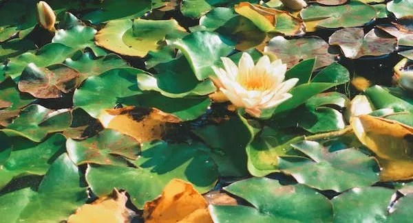 A very honest layoff&nbsp;story